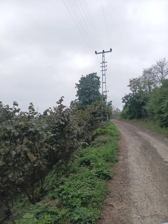 Genç Evim / Beyli / Ev Yapımına Uygun Bahçe 2