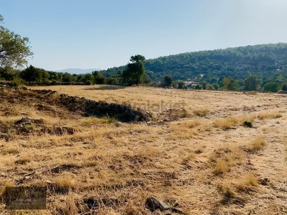 Acil Satılık Bu Fırsat Kaçmaz Milas Gökbel Mevkii Yatırımlık 1