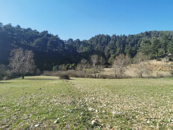 Muğla Menteşe Meke Mah. Satılık 3 Dönüm Tarla 2