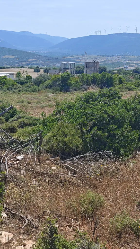 Didim'de Satılık Yatırımlık Arsa 1