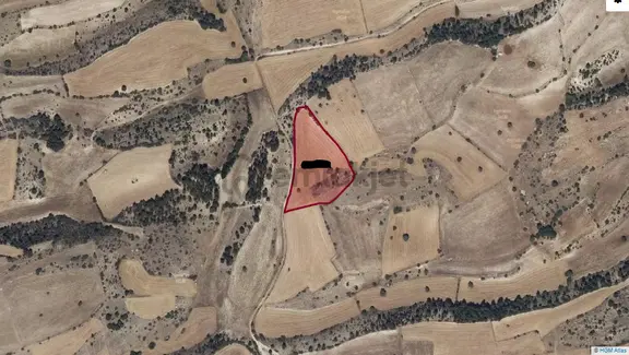 Isparta Yalvaç Koruyaka Köyü Otluk Alanı Mevkii Satılık Tarla No.20518 1