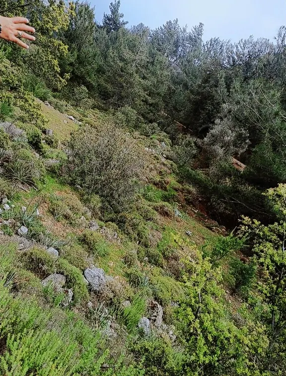 Muğla Marmaris Osmaniye Camiyanı Satılık Tarla ! 1