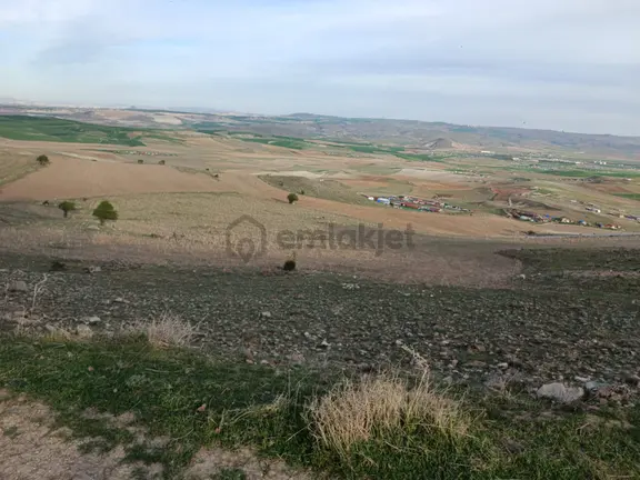 Ayaş Gökler'de 12 Dönüm Hayvancılığa Uygun Tek Tapu Tarla 1