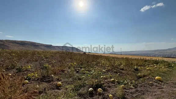 Öz Gaye Emlaktan Develi Fenese Keplin Mevkiinde Satılık Tarla 2
