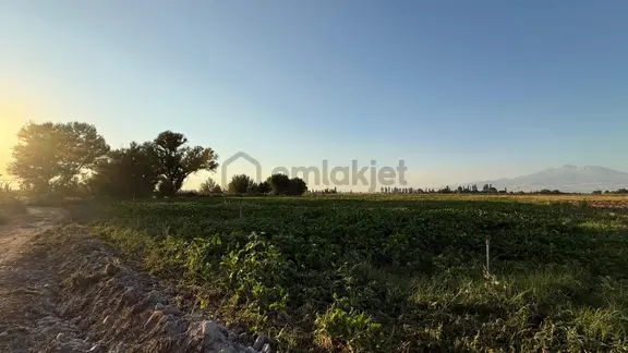Öz Gaye Emlaktan Develi Gaziköy Karayer Mevkiinde Satılık Tarla 1