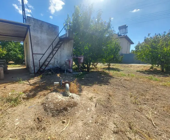 Yukarı Kızılca'da Yatırımlık Fırsat! 7.400 M² Mükemmel Konumda Bahçe Satılık 1