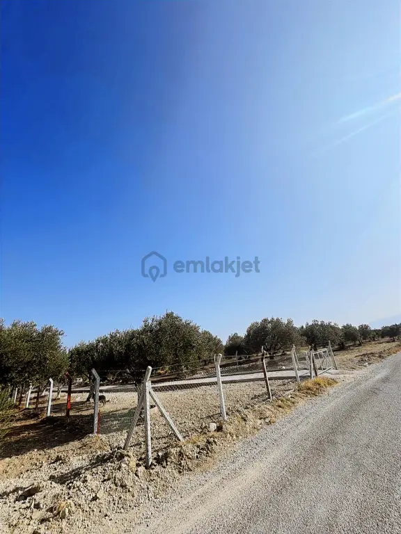 Kirvem Emlak'tan Kepenekli'de Harika Çiftlik Evi+zeytinlik 2