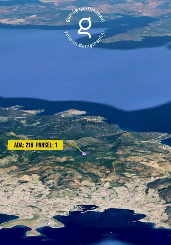 Bodrum Konacık’ta Pedasa Antik Kentine Yakın Zeytinlik 2