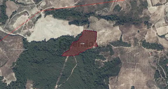 Caferli Köyü'nde Panoramik Deniz Manzaralı Yatırımlık Arazi 2