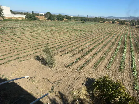 Turgutlu Satılık 9. Mıntıka 11.385m2 Sanayi İmarlı Arsa Yola Sıfır 1