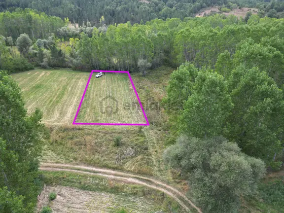 Kütahya Gediz Yağmurlar Köyü 1316 M2 Satılık Yatırımlık Verimli Tarla 1
