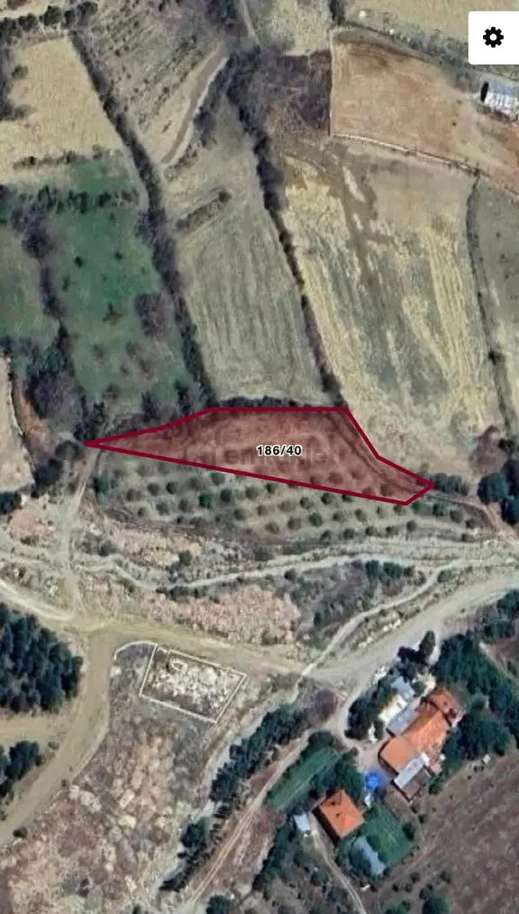Burdur Ağlasun Kum Mah. De Satılık Arazi