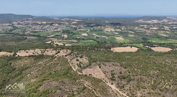 Çanakkale Biga Gürgendere Ormana Cepheli Satılık Arazi 2