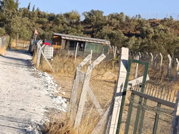 Foça Bahçecik Mevkiinde Satılık Pay Mülkiyetli Arsalar 2