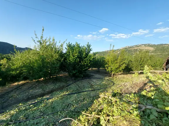 Konyaaltı Doyranda Satılık 5460m2 Tek Tapu Ev Ve Bahçe 1
