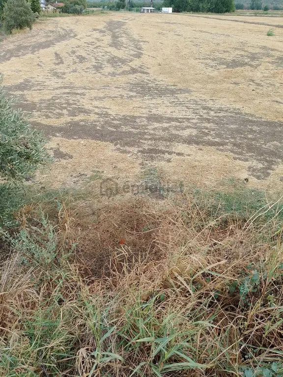 Bergama Fevzipaşa Mah.cezaevi Yanında Satılık Tarla 2