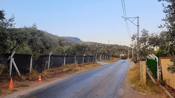 Uzay Emlaktan Ahmetçe Köyünde Asos Asfaltına 3 Parsel Zeytinlik 2