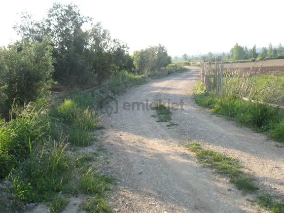 Akseki- Taşlıca Mah.9500m2 Satılık Ceviz Tarlası 6450000tl