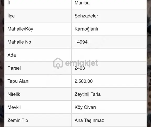 Manisa Şehzadeler Karaoğlanlı Mah. Satılık Arazi Köy Çıvarı 1