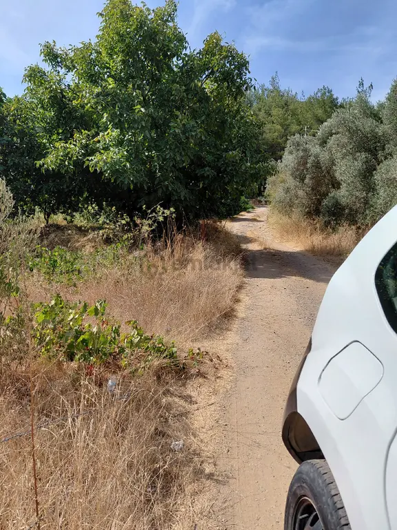 İzmir Seferihısar Kavakdere Mevkinde Satılık 2.173 M2 Tarla 2