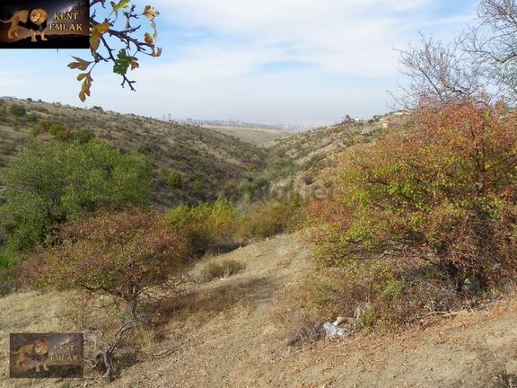 Yakup Abdalda Ana Yola Yakın 217 Metre Satılık Arsa 1