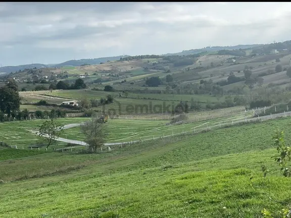 Sakarya Kaynarca Kertilde Satılık Hisseli Arsa 1