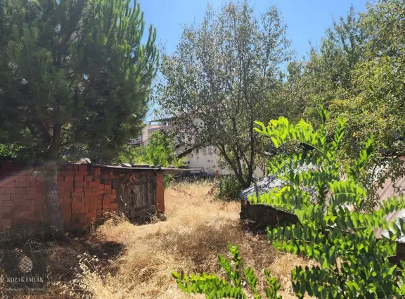İzmir Bergama Kozak Aşağıbey Köyünde Satılık Köy Evi Ve Arsa 1