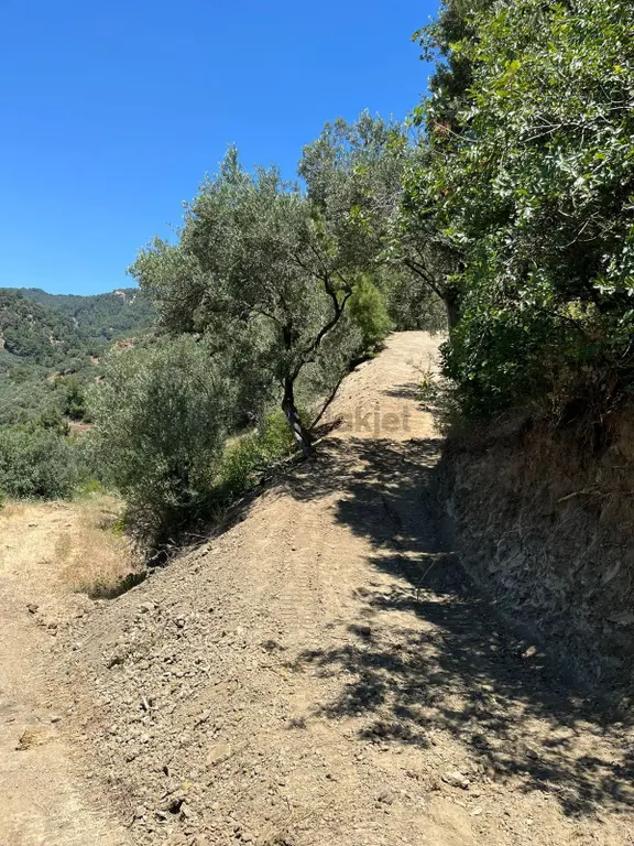 📍 Çanakkale / Ayvacık / Ahmetçe Köyü 1