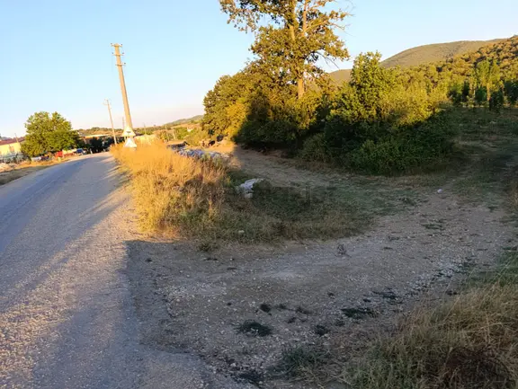 Bursa Yenişehir Fethiye Satılık 3000m2 Tarla 2