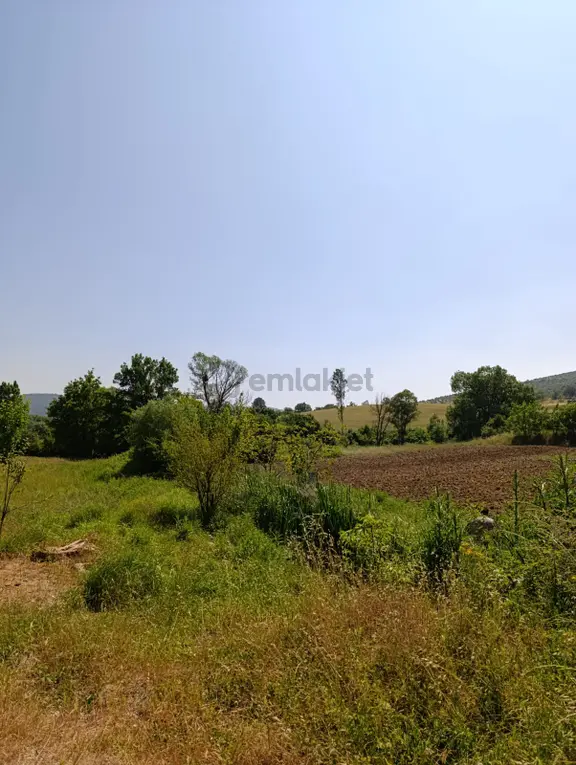 Bursa Yenişehir Fethiye Satılık 11000 M2 Tarla 1