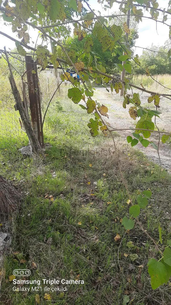 Fevziyede Satılık Rızai Taksimli 2510 M2 Yer.videosu Mevcut 1