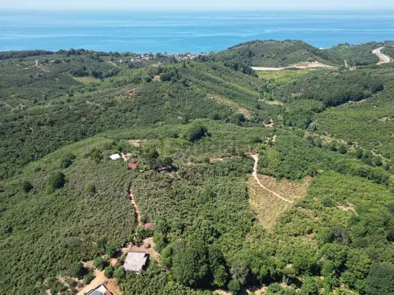Akçakoca Hasançavuş'da Deniz Manzaralı İmarlı Satılık Arsa 2