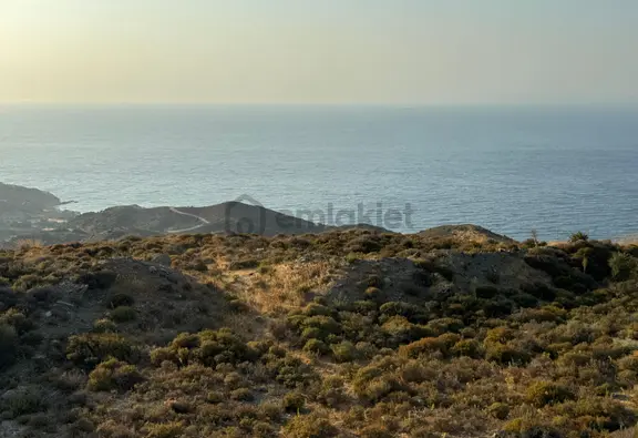 Karaburun'da Deniz Manzaralı Kadastral Yol Tarım İmarı Satılık Tarla 1