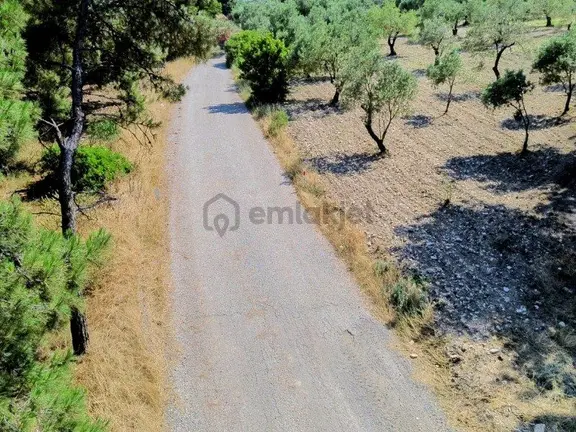 Bülent Ateşci'den Aliağa Bozköyde 1055 M2 Tarla 2
