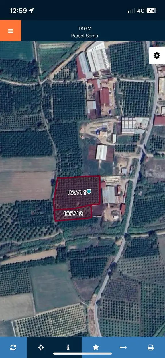 Nazilli Hamzallı Mah. Satılık Portakal Bahçesi 2