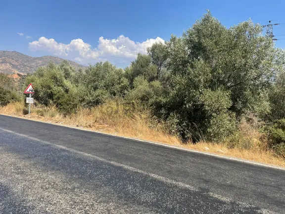Nazilli Kardeşköy Mahallesi Satılık Tarla 1
