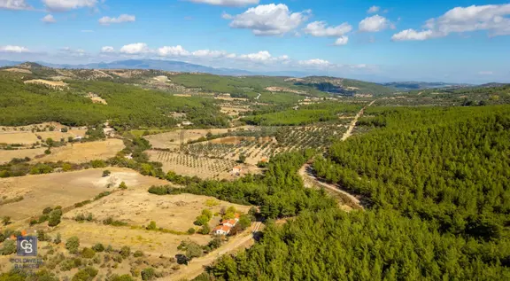İzmir Bergama Zeytindağ'da Satılık 2 Adet Dağ Evi Ve Tarla 1