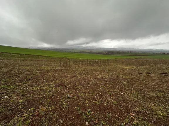 Tokat Kızık Köyünde Satılık Arazi 2