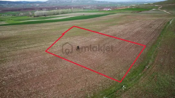 Tokat Kızık Köyünde Satılık Arazi 1
