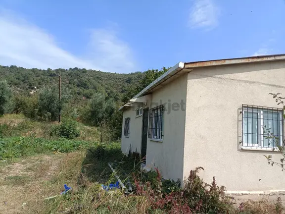 Bursa İznik Elbeylide Müstakil Ev 2