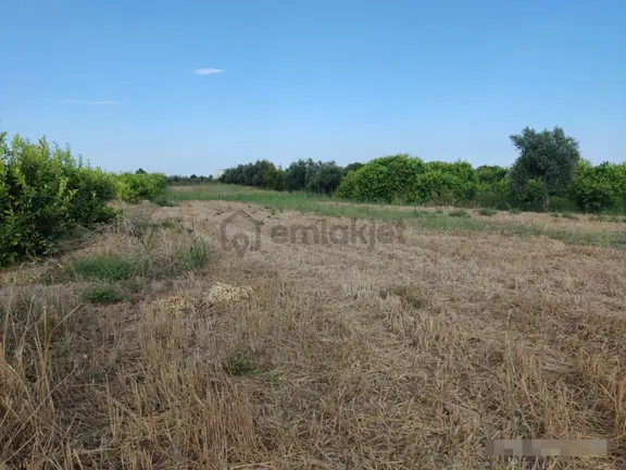 Aslandan Elvanlı Merkezinde 2.500 M2 Cazip Fiyatlı Satılık Tarla 1