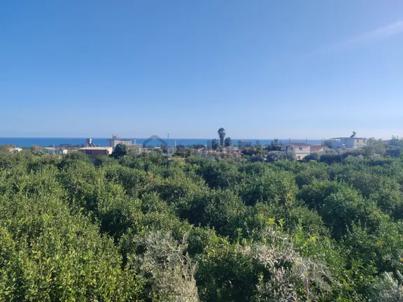 Mersin Erdemli Kargıcak 4.869 M2 Arsa Ve İçinde 2+1 Müstakil Daire 1