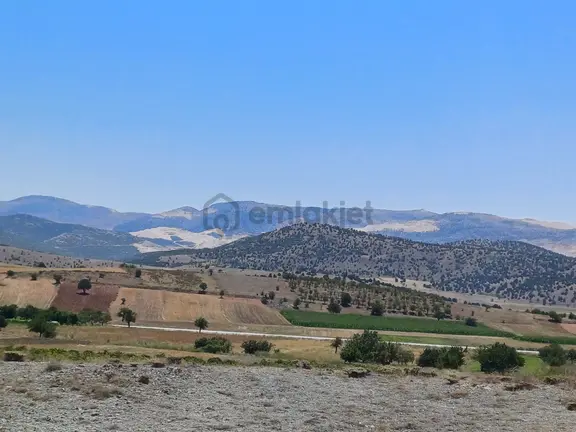 Burdur Yeşilova Harmanlı 5 Dönüme Yakın Yatırımlık Tarla 1