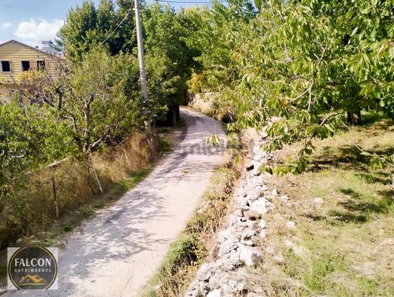 Falcon Dan Nif De Fırsat 1300m² Arsa 1