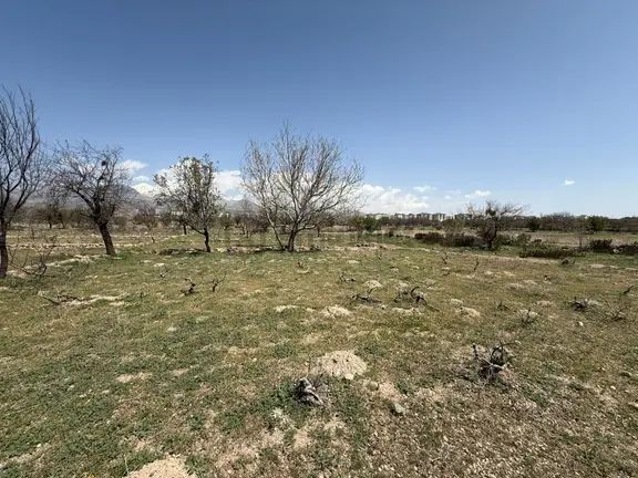 Öz Gaye Emlaktan Develi Camiicedit Çakılarası Mevkinde Satılık Bağ Yeri 2