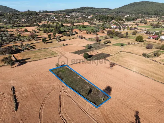Yayla Mahallesi Fesleğen’de 902 M² Tarla – Gelişime Açık 1