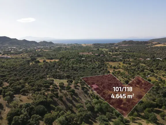 Datça Karaköy Mahallesinde 4645 M2 Deniz Manzaralı Tarla 2