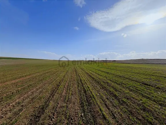Başkan Emlaktan Satılık Alpu Koşmat Köyünde 15.108 M2 Tarla 1