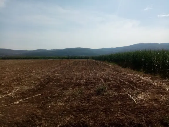 Balıkesir İvrindi Gökçeyazı Da Demirdağ Emlaktan Satılık Tarla. 2
