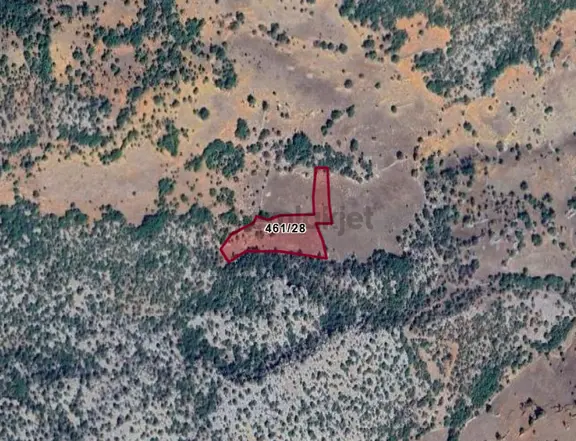 Konya Hadim Aşağıhadim Köyünde 4.627 M² Bağ Satılıktır 1